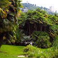 Arboreto di Arco